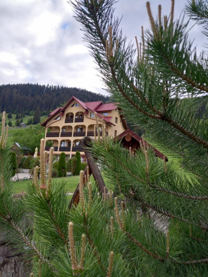 Pensiunea Alunis Hotel ซาโดวา ภายนอก รูปภาพ