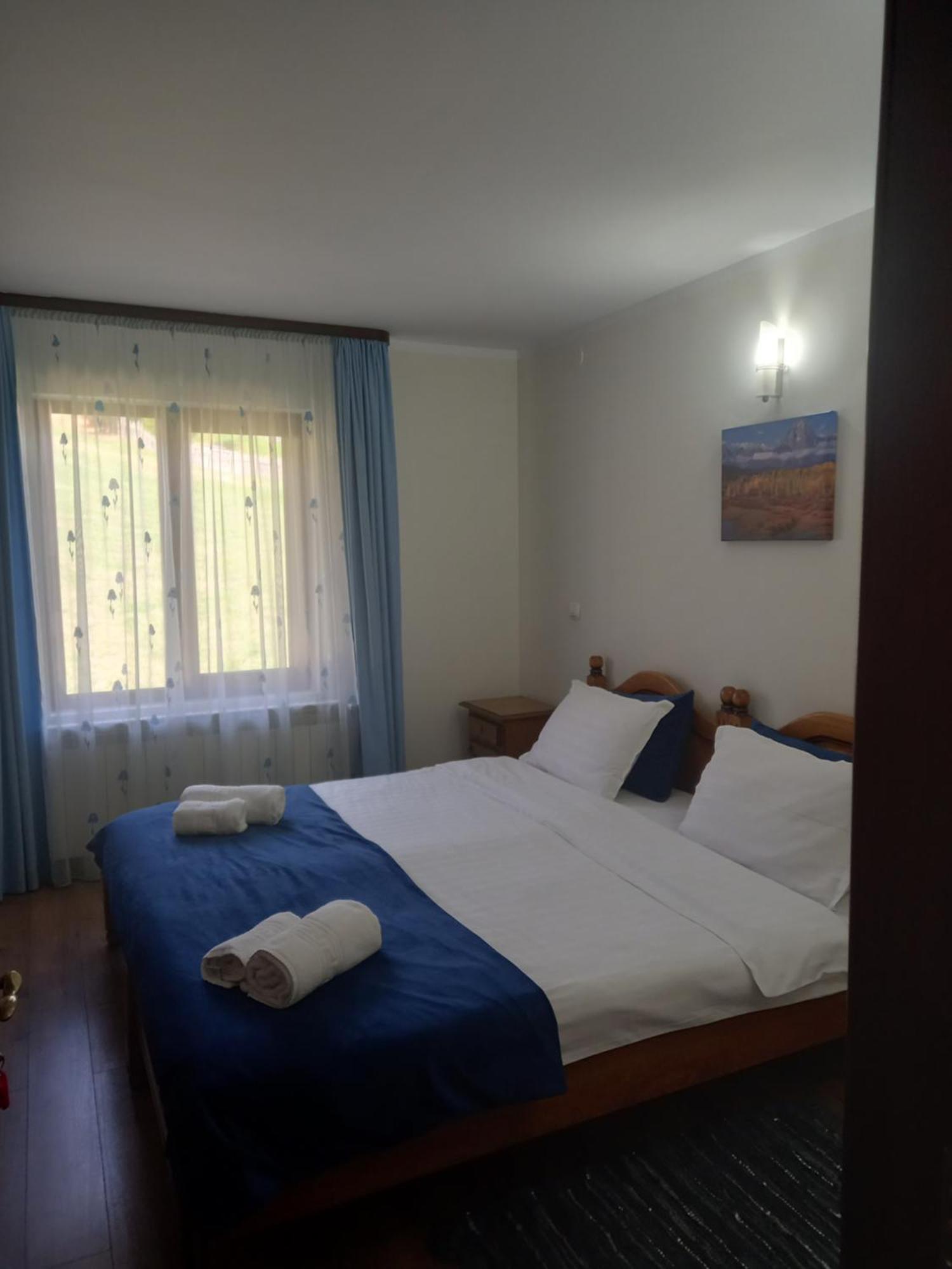 Pensiunea Alunis Hotel ซาโดวา ภายนอก รูปภาพ