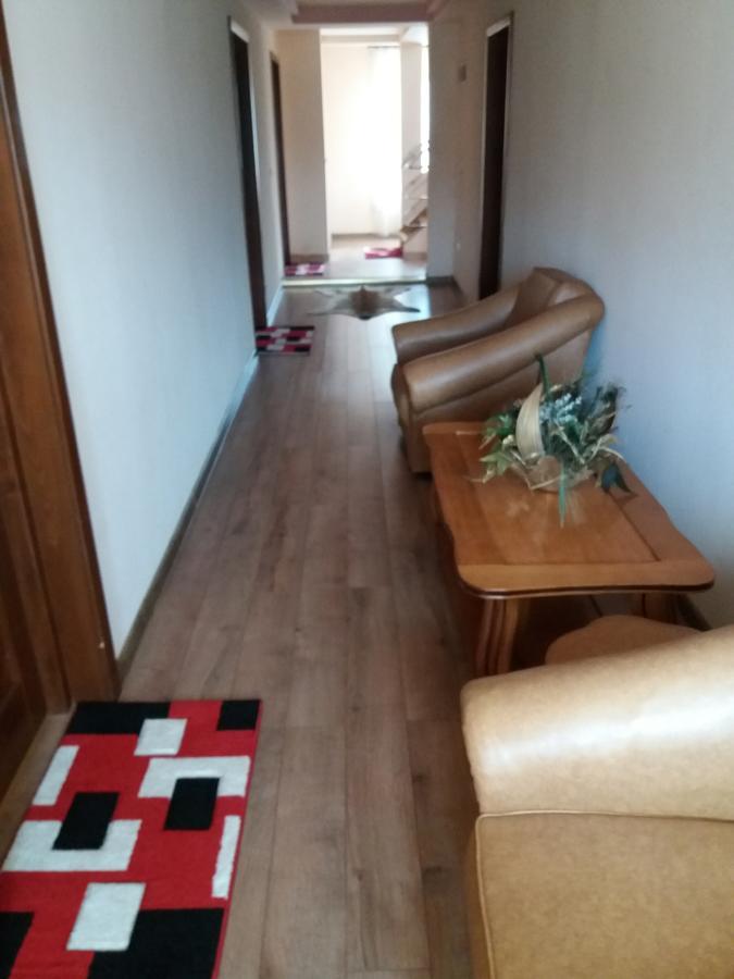 Pensiunea Alunis Hotel ซาโดวา ภายนอก รูปภาพ