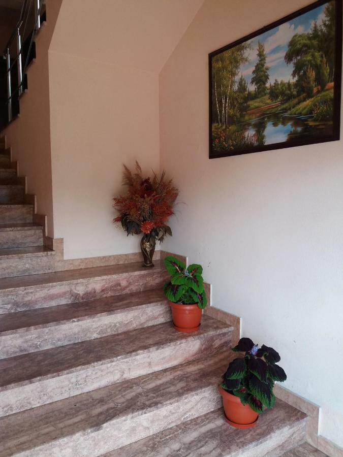 Pensiunea Alunis Hotel ซาโดวา ภายนอก รูปภาพ